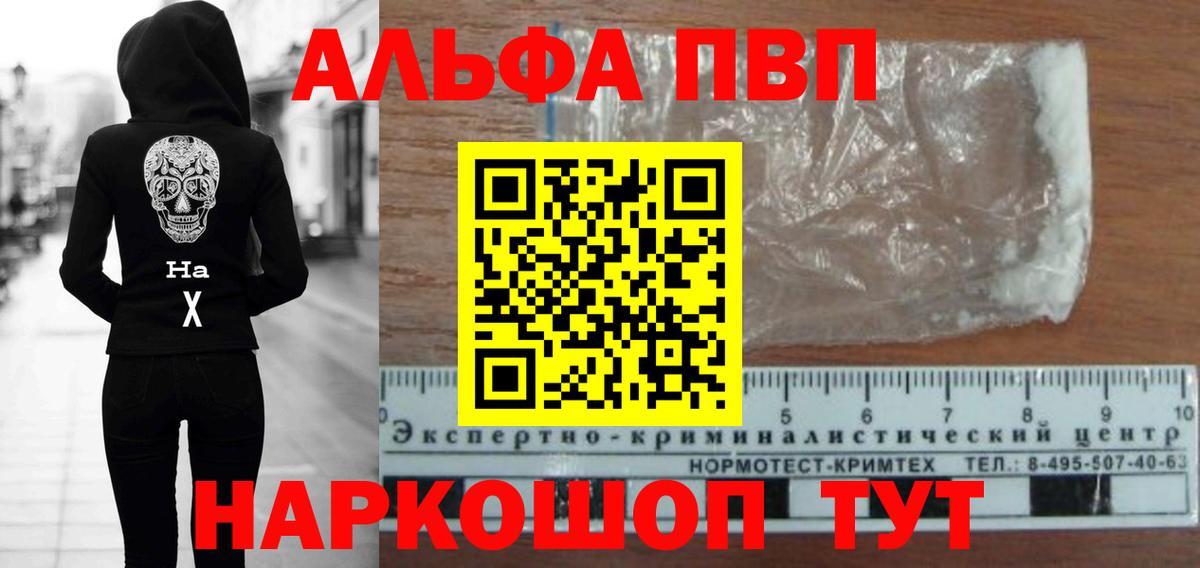 A PVP СК КРИС Воронеж